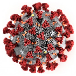 Реагент для кач. опр-я антител класса IgG к вирусу SARS-CoV-2, 200 тестов 