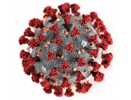 Реагент для качественного определения антител класса IgG к вирусу SARS-CoV-2, 200 тестов 